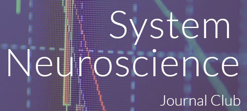 system neuro journal club